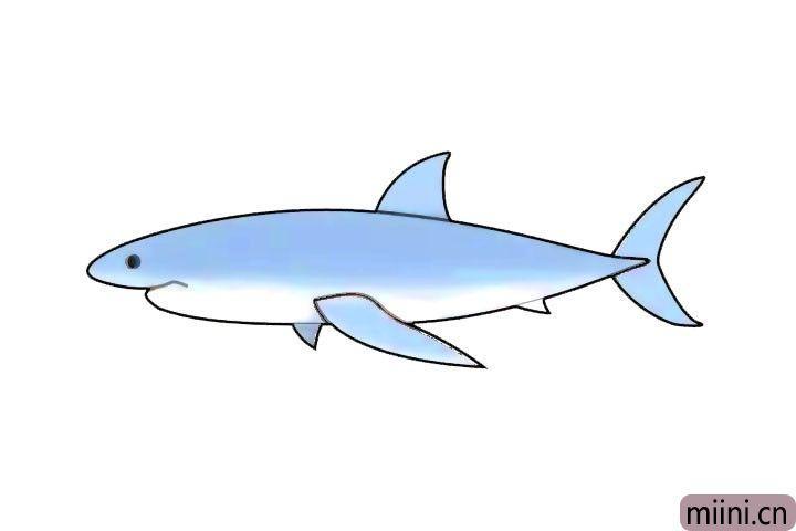 海洋霸主大白鲨简笔画步骤教程