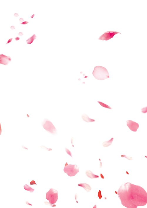 桃花花瓣装饰背景素材