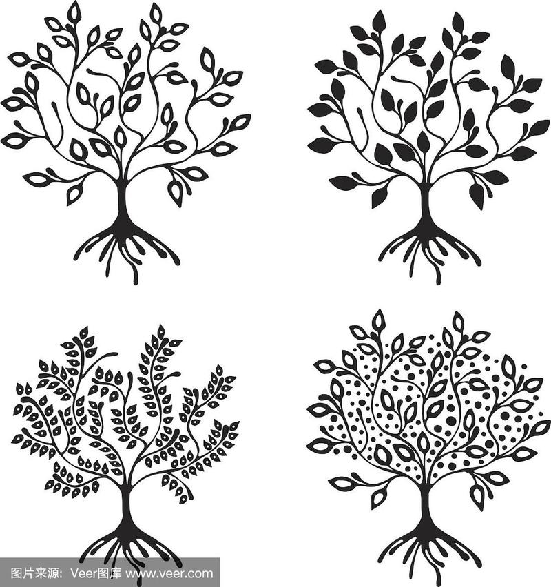矢量手绘插图,装饰树木观赏风格化.黑白图形插图孤立在白色背景上.