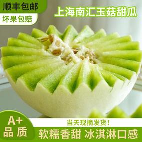 正宗上海南汇玉菇甜瓜5斤新鲜水果整箱当季香瓜蜜瓜冰淇淋甜密瓜
