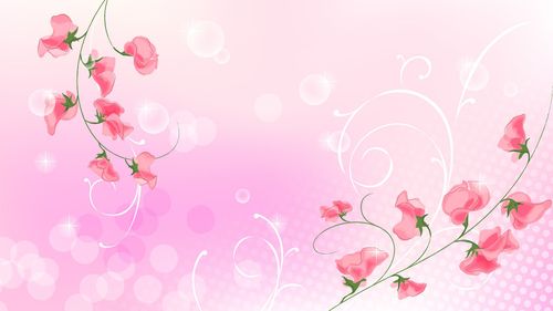 唯美粉色花朵背景,高清图片,电脑桌面-壁纸族