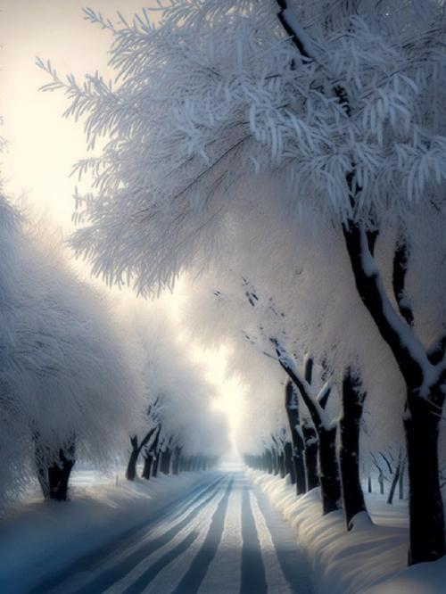 最美雪景,送给你#雪景壁纸  #送你好看的手机壁纸