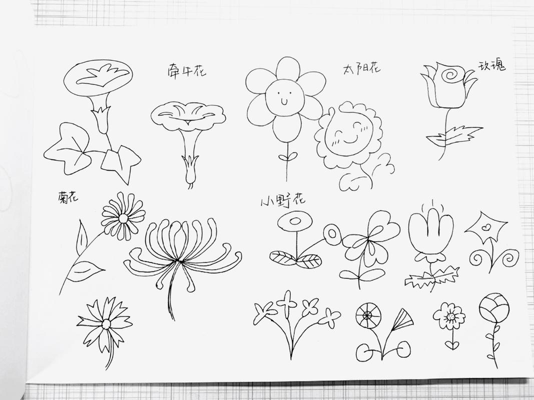 花朵|简笔画|跟我一起每日打卡吧～ 荷花 向日葵 郁金香 梅花 铃兰花