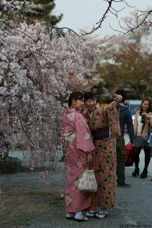 日本mm在樱花树下玩自拍