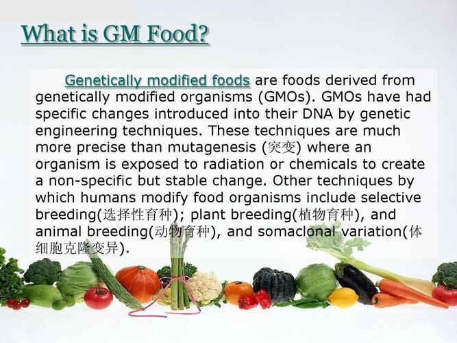 工程科技 环境科学/食品科学 转基因食品gm foodppt 转基因食品英文