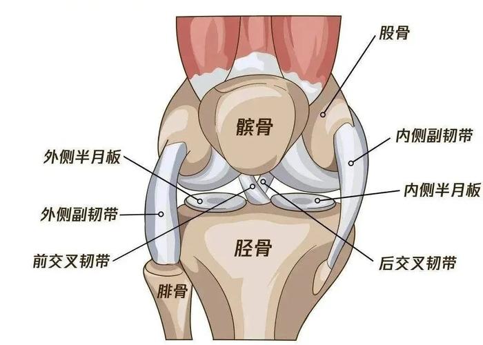 膝盖的这些地方最容易发生骨折,一定要注意!