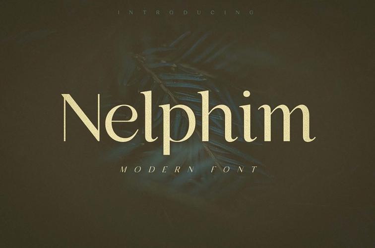 nelphim现代高级感英文字体下载一边粗一边细英文字母风格