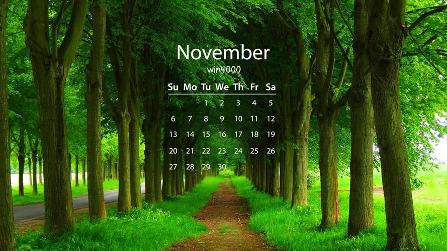 2016年11月日历森林绿色风景清新桌面壁纸下载