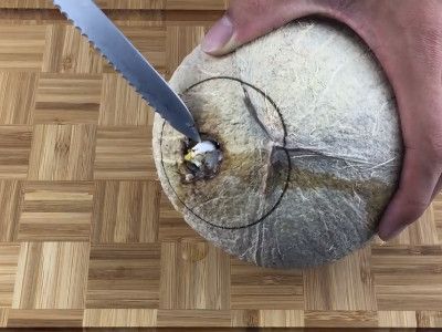 椰子怎么打开有易拉罐开口的
