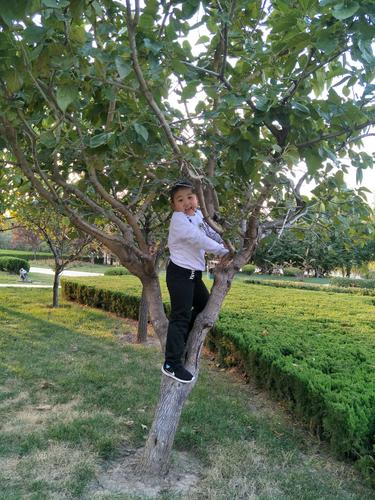 我们去公园,玩了,看看我多厉害,都会爬树了.