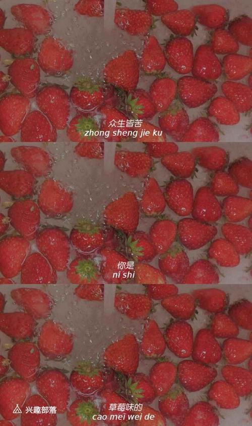 草莓壁纸图