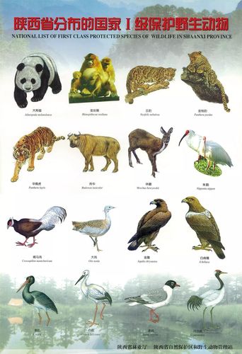 3月1日至10月31日 这些地方禁猎陆生野生动物!