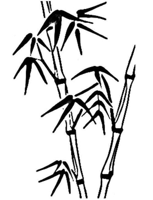 今天为大家收集的是12张简单的竹子简笔画大全,比较适合初学者.