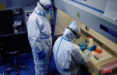 深圳医院有生物安全三级实验室了可检高等病原微生物