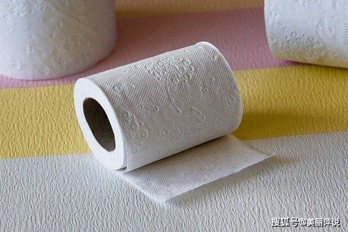 竹浆纸好还是木浆纸好?厕纸用竹浆纸好还是木浆纸