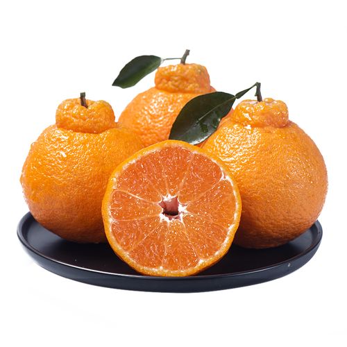 正宗四川不知火丑橘新鲜5斤水果当季粑粑丑八怪柑橘耙耙桔子