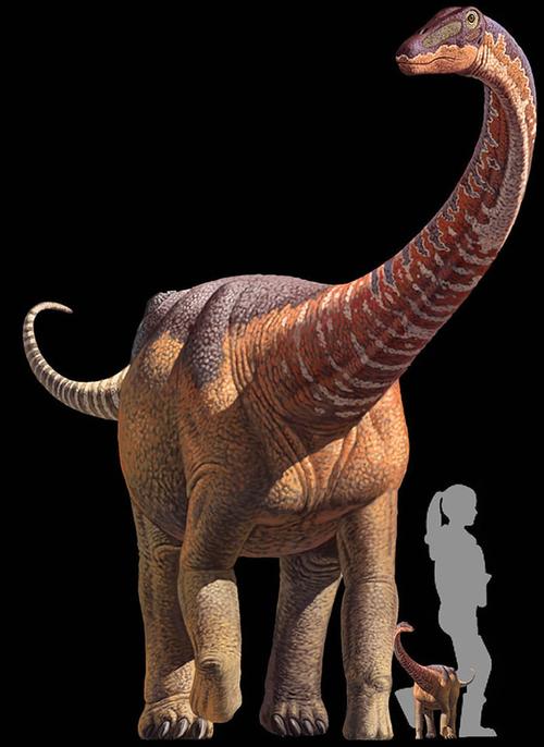 阿根廷巴塔哥尼亚发现迄今最大恐龙——巴塔哥泰坦龙