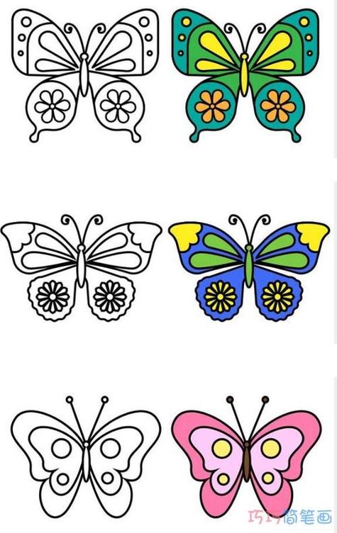 蝴蝶简笔画小动物花朵
