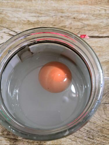 鸡蛋在盐水中的浮力是什么科学原理