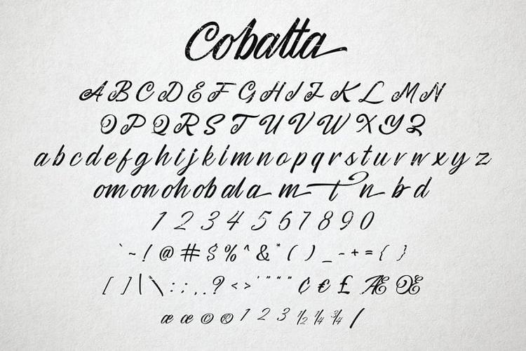 花体英文字体下载 cobalta 创意设计个性衬线手写字母