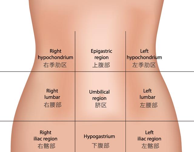 医学上会对人体的腹部进行类似地理区域的划分,以便于医生对病变部位