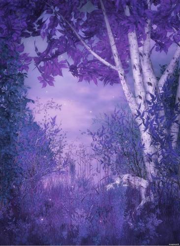 紫色梦幻树叶小花