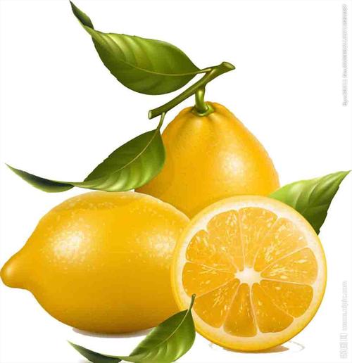 全部水果名称大全图片柠檬