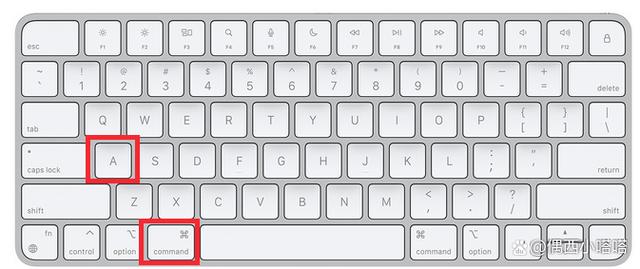 mac电脑全选快捷键是【command 】 a ,如下图所示