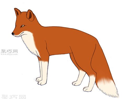 画写实的狐狸的步骤一起学如何画狐狸
