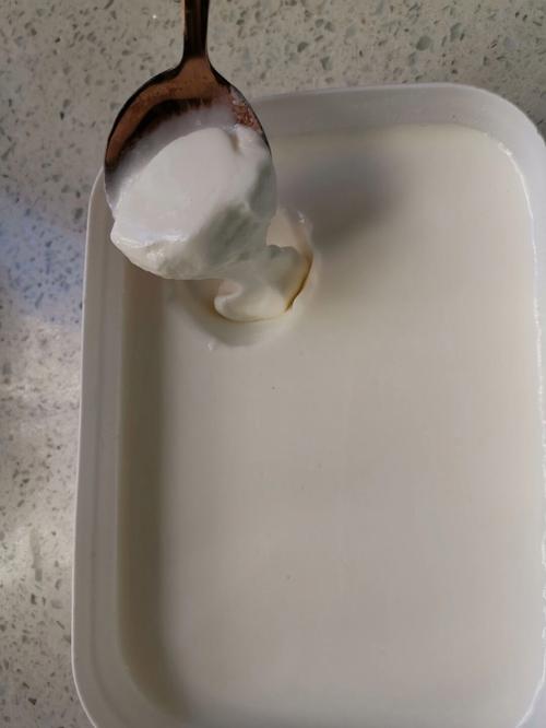 不用菌粉不用酸奶机自制酸奶