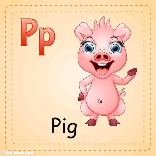 pig    猪