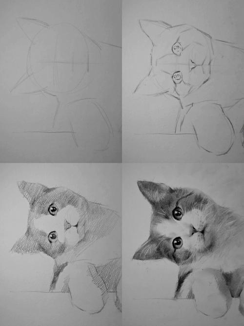 超可爱小猫咪画法步骤图