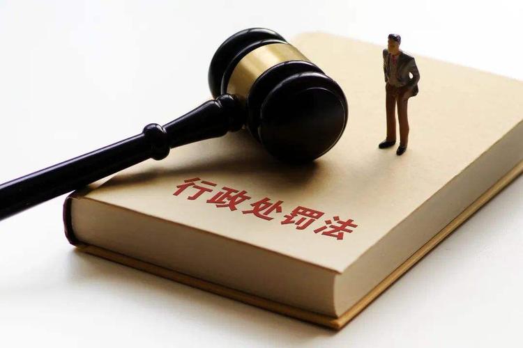 河北省重大行政处罚案件集体讨论制度