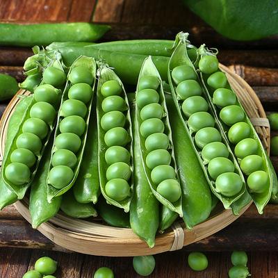 云南农家当季现摘水果豌豆带壳嫩青豆角粒甜10斤蔬菜新鲜豆类