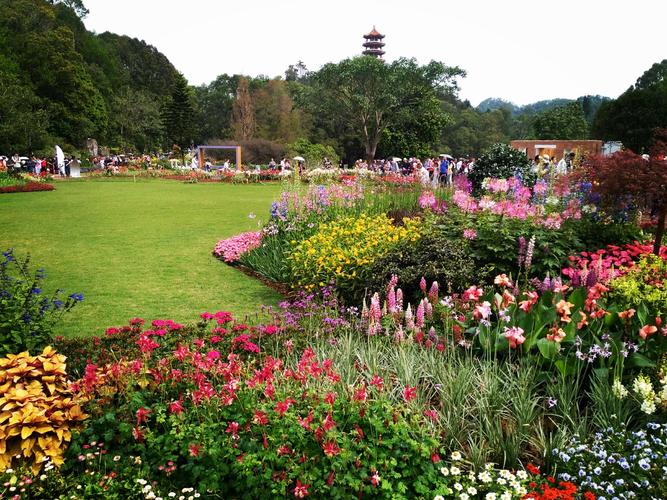 深圳仙湖植物园有花展吗