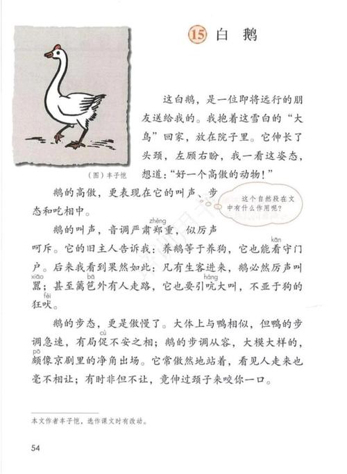 四年级语文课文《白鹅》,分享一下丰子恺先生家大白鹅的趣事吧!