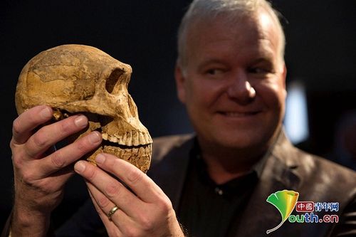 南非发现新人种遗骸 或改变人类对祖先进化认知