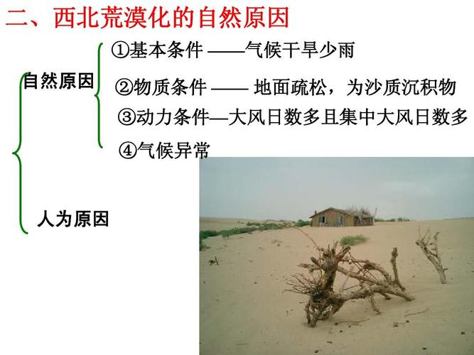 荒漠化的防治——以我国西北地区为例zhengli[1]ppt