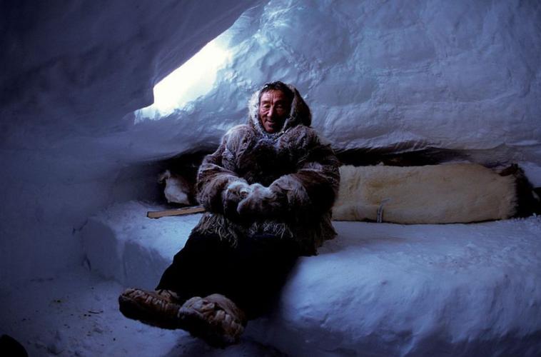 为何因纽特人在零下40度的北极北极居住着因纽特人和什么人