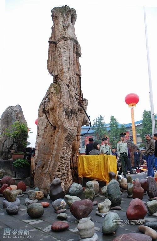西部国际奇石展在温江开幕-西秦会馆 - 自贡在线