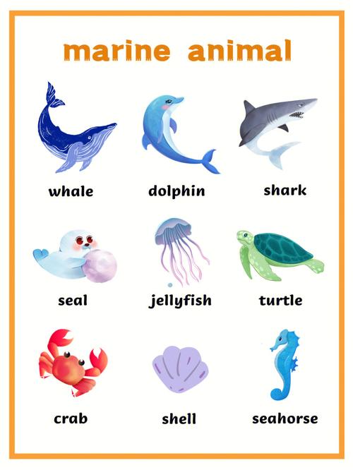 每日单词积累海洋动物篇