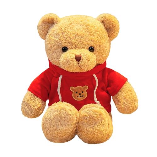 泰迪熊抱抱熊熊猫小熊公仔布娃娃智扣毛绒玩具小号送女友生日礼物女生