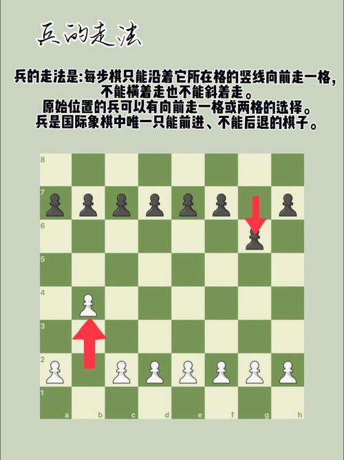 在国际象棋和中国象棋中,兵都是只能前进不能后退的,他们在前线保家