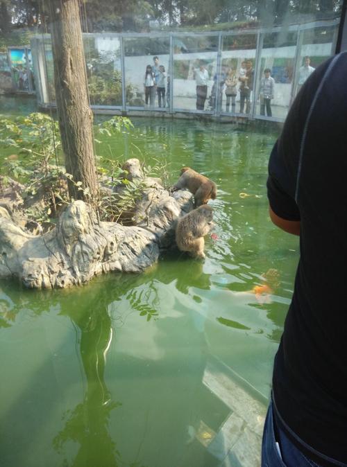 南京红山动物园门票超过8点就不能买了么