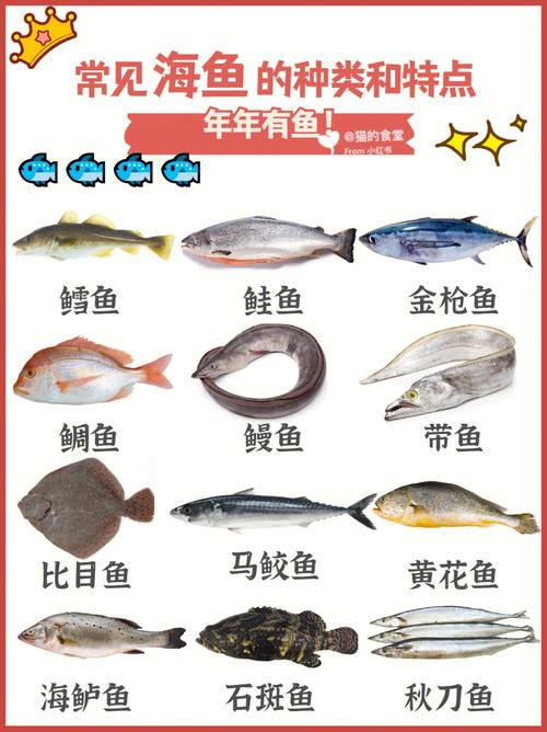 科普常见海鱼的种类和特点营养美味