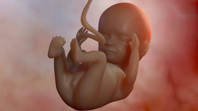 胎儿性别会影响胎动的频率幅度和位置准妈妈和准爸爸想在宝宝出生前