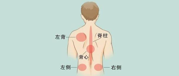 后背疼痛位置图详解后背疼痛八种病因