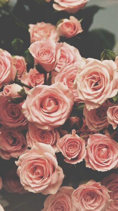 粉色花朵壁纸锁屏 唯美清新 复古浪漫