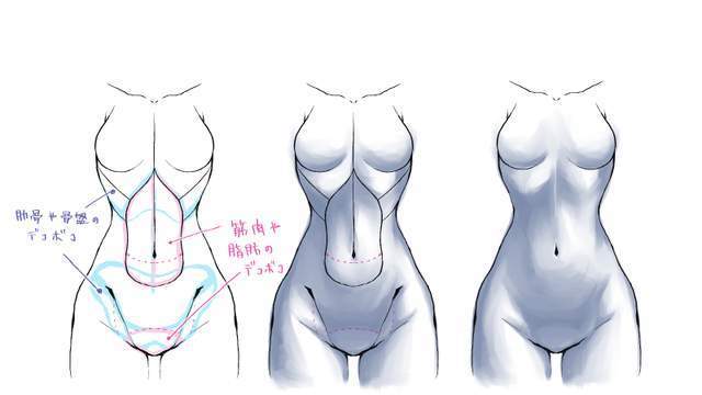 动漫人物腹肌怎么画教你女生肚子的画法教程