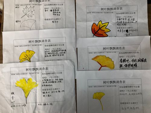 青田县东山幼儿园小一班班本课程《树叶飘飘》